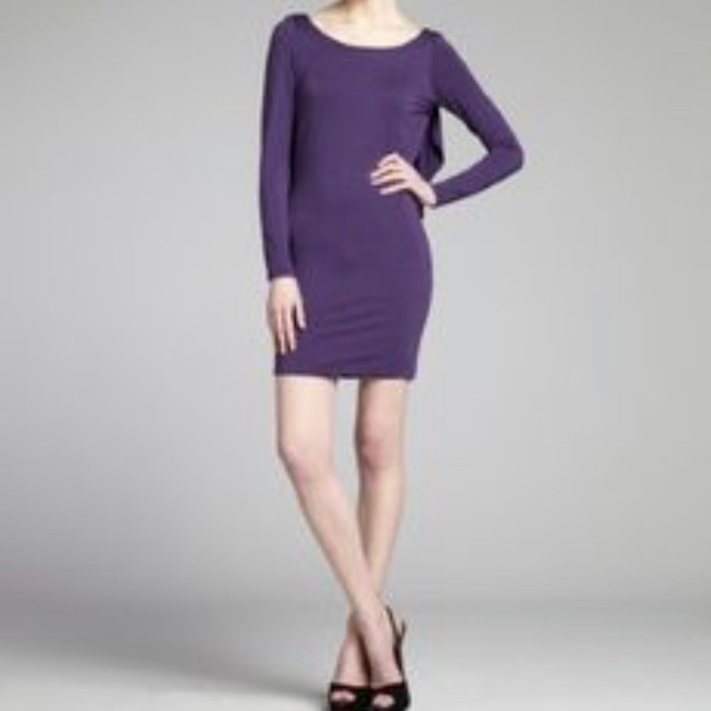 NWT Rachel Pally Purple JLYNN Dress